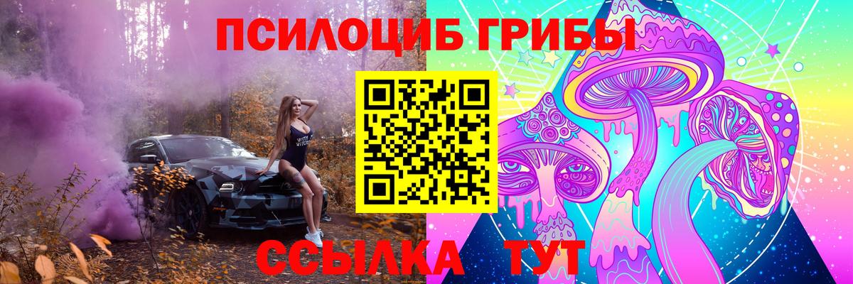 Псилоцибиновые грибы прущие грибы  Черняховск  Галлюциногенные грибы ЛСД 