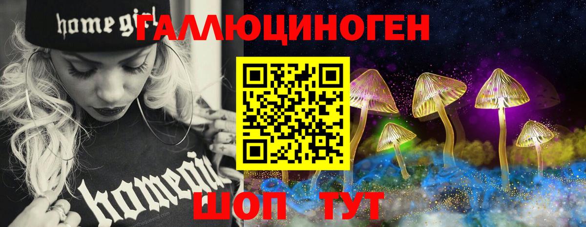 Галлюциногенные грибы Cubensis Черняховск