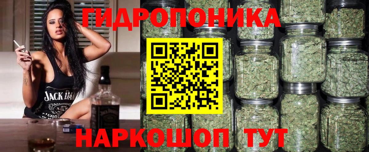 Конопля семена  Канабис конопля  Бошки Шишки план  Вход с VPN  Черняховск  МАРИХУАНА Ganja 
