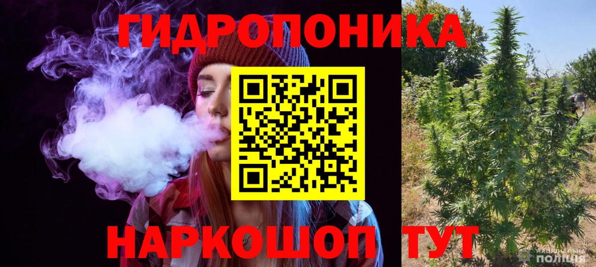 Канабис гибрид Черняховск